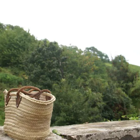 In With Terrace شقة